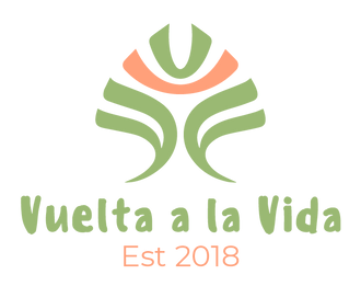 VUELTA A LA VIDA